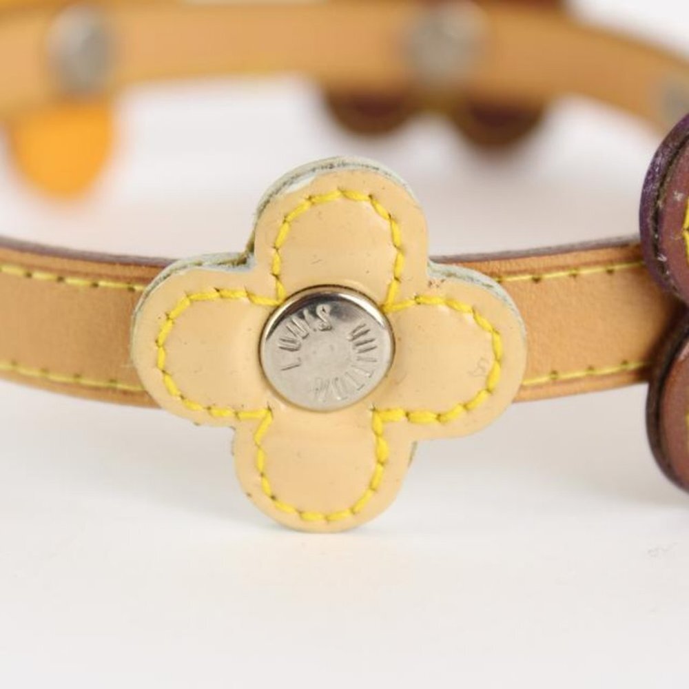 Louis Vuitton Multicolor Vernis Fleur x Vachetta - Picture 10 of 12